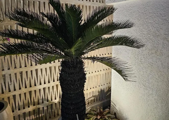 Mediterranean